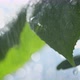 Drops On A Green Leaf - VideoHive Item for Sale