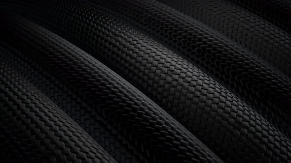 4k Snake Black Background 1