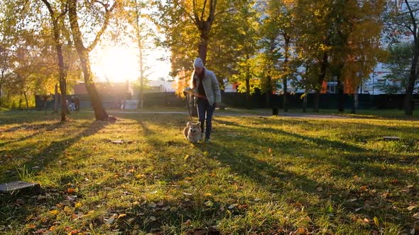 Pembroke Welsh Corgi Dog Running in the Park Crane Video Shot Following From Behind