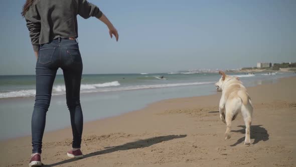 Back View of Young Woman Throwing Red Flying Disk To Dog