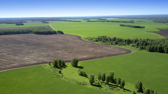 Wonderful Landscape with Mown Field and Rare Green Trees