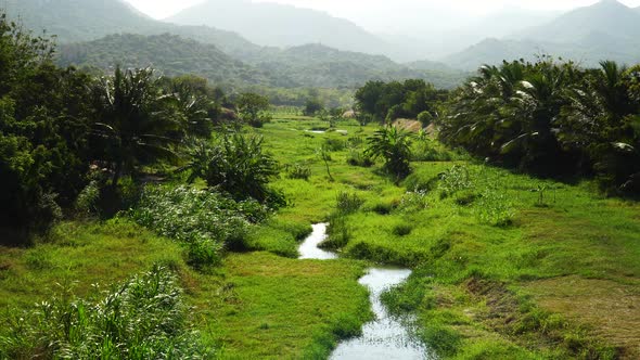 Tropical landscape scene with small stream, Vietnam. Aerial static