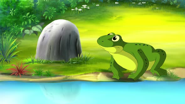 Big Green frog near the pond 4K