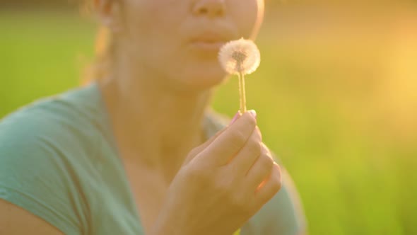 Beautiful Girl Blowing on a Dandelion Fluff Slowly Flies Through the Air