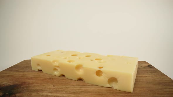 Emmental Cheese 04