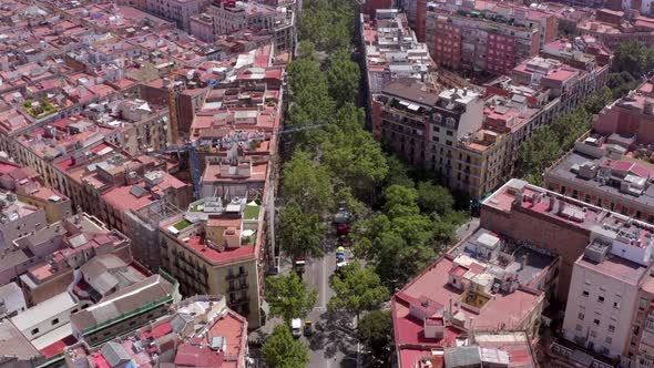 Grand Via in Barcelona a Treelined Street in the Bustling Gothic City