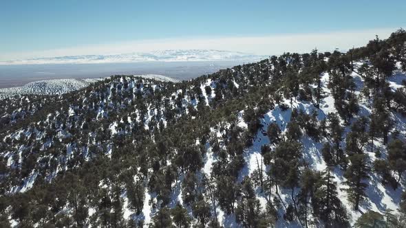 Aerial View Atlas Mountains with Forest at Winter