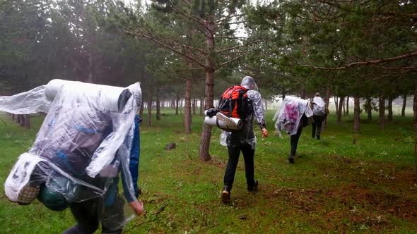 Trekking Running In The Rainforest