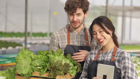 Couple farmer in apron holding and checking the quality of an organic vegetable