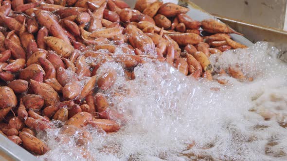 Washing and sorting of sweet potatoes in an agricultural packing facility