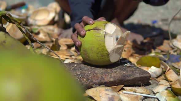 Close Up How Man Cuts Ripe Green Coconut with Sharp Machete on the Ground for Drinking Coco Juice