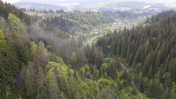 Ukraine, Carpathian Mountains: Beautiful Mountain Forest Landscape. Aerial, Flat, Gray