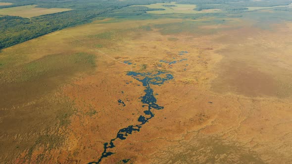 Upland And Transitional Bogs