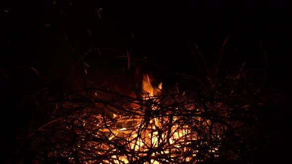 Burning Bonfire on a Black Background Surrounded By Branches