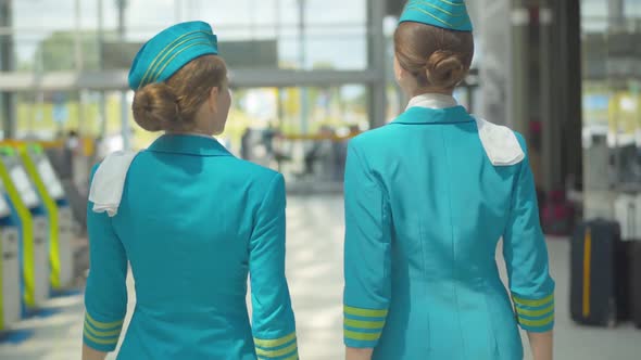 Back View of Two Positive Stewardesses Walking To the Exit in Airport and Talking. Camera Follows