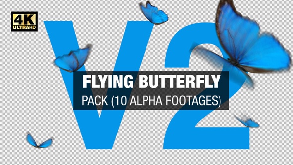  Flying Butterfly 4 K Pack V2