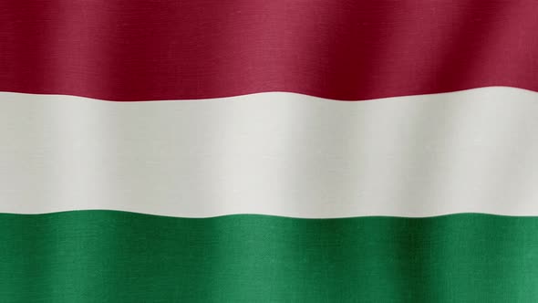 The national flag of Hungary