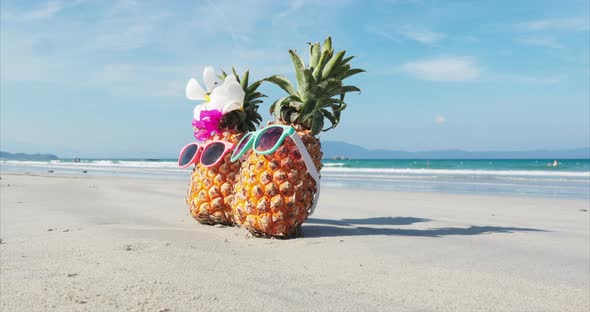 Tropical Beach Along the Coast Are on The Sand Tropical Fruits in Sunglasses