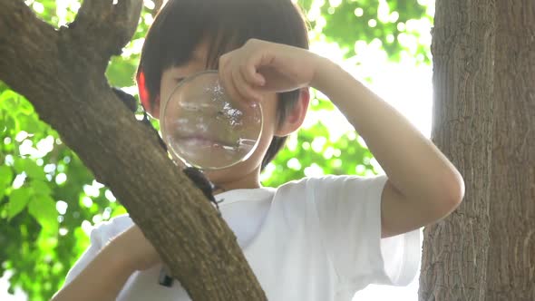 Cute Asian Child Looking Through A Magnifying Glass At A Rhinoceros Beetle In The Forest 