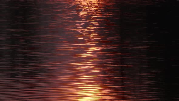 sunset reflection on the water, beautiful water ripples, golden color