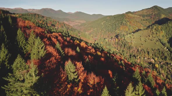 Aerial Autumn Mountain Forest