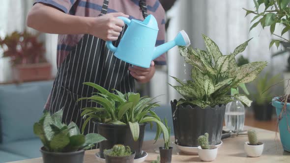 Asian Man's Hands Holding Watering Pot To Water The Plants At Home