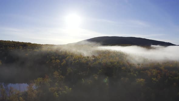 Aerial view of flying close to autumn coloured forest with mist on a sunny day