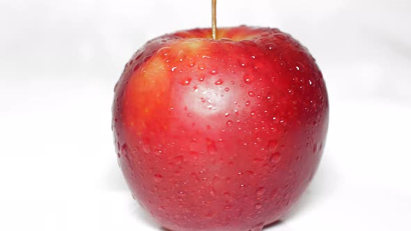 Red Apple on a White Background