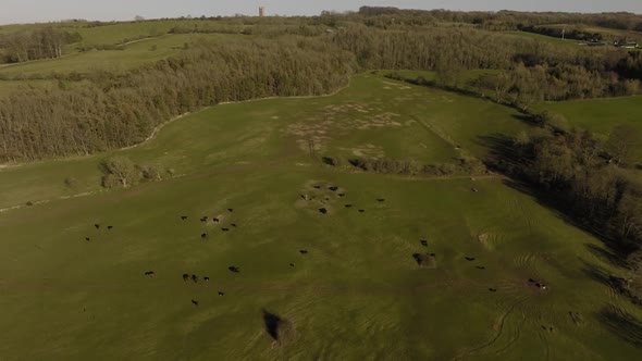 Broadway Tower Landscape Winter Aerial Grass Field Horses And Cows UK