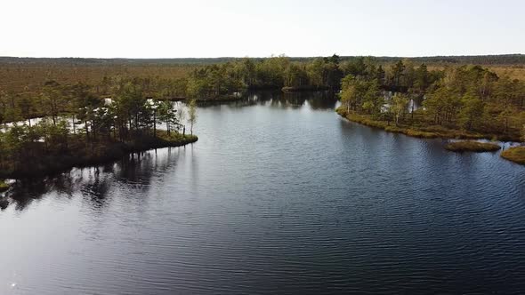 Aerial birdseye view of Dunika peat bog (mire) with small ponds in sunny autumn day, wide establishi