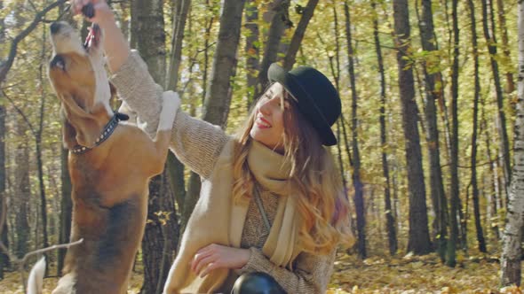 Happy girl sitting with jumping dog in autumn park