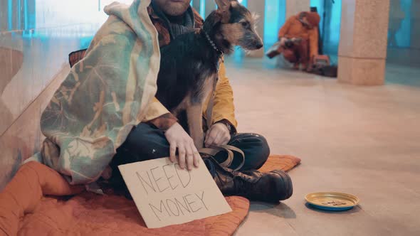 A Homeless Man with a Dog and a 'Need Money' Sign Next to Him