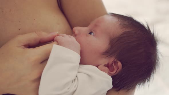 Mom breastfeeds a nursing baby. Close-up portrait of the infant and mother.