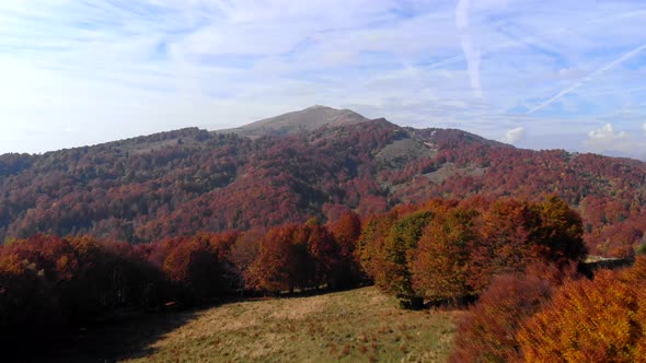 Aerial shot of colorful autumn forest. Monte maggiore, Italy in background.