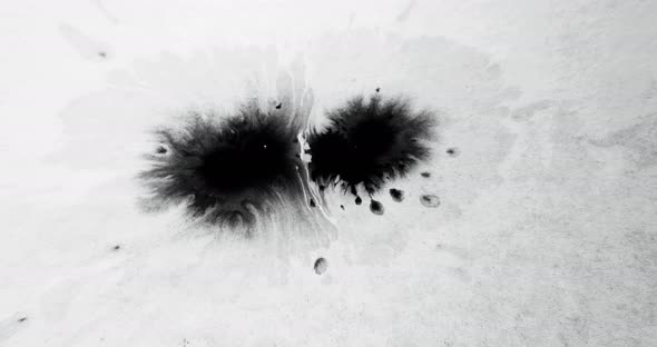 Paint Water Drop Ink Splatter Black Splash White