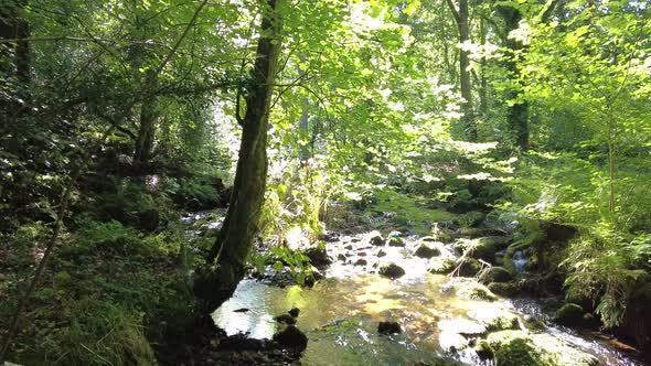 Panning right shot of a river flowing over boulders bathed in sunlight at Dartmoor England