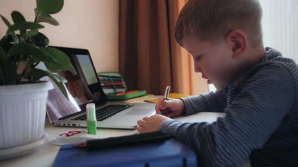 Online Tutor Talking with Preschool Boy Video Calling Using Computer App