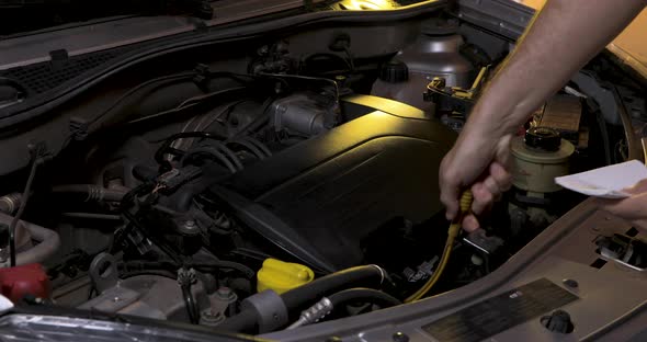 Ring the oil dipstick from the car engine to check the level and see if you need to add oil
