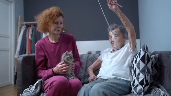 Volunteer Assistant Uses Kitten to Improve Mood and Physical Condition of Female Senior Patient at