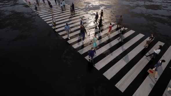 Pedestrians Cross the Road on a Zebra