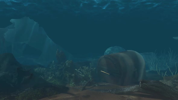 Underwater Treasure Chest Loopabel Background