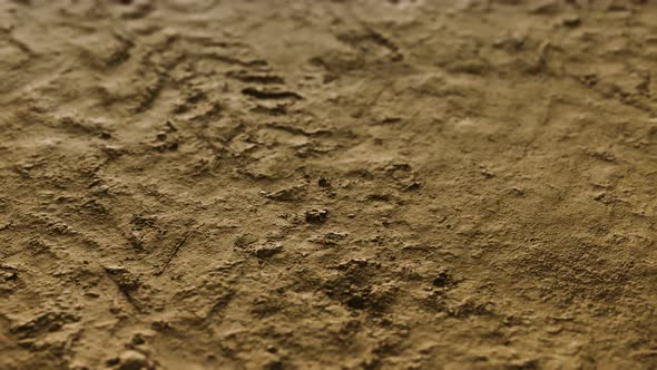 Wheel Tracks on Rough Road