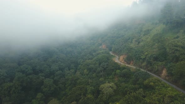 Road in the Mountains in the Fog