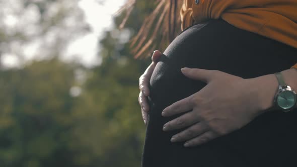 Pregnant Happy Woman outdoors enjoying nature. Pregnancy.