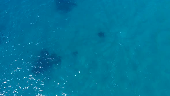 Aerial Clear Reef and Rocky Untouched Coastline of Bright Turquoise Sea