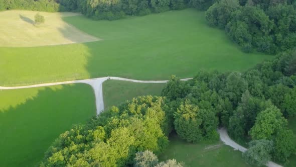 Countryside tracking forest roads ideal for hiking or mountain biking in green nature. Aerial 4k vie