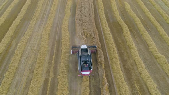 Combine Harvester on Wheat Field