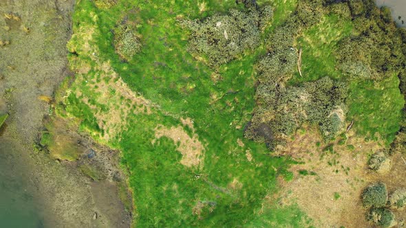 Top-down aerial view over Bull Island