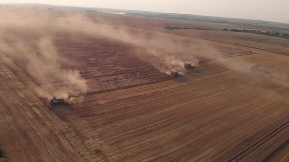 Aerial shot: few combines harvest wheat at sunset.