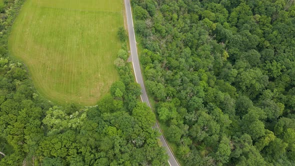 Two cars driving along a curved country road in between lush meadows and leafy deciduous forests in